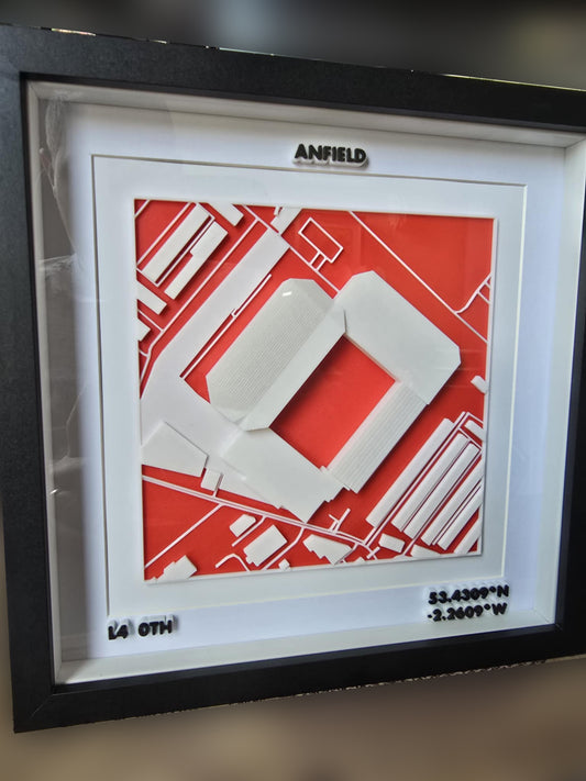 3D Stadium Framed Print