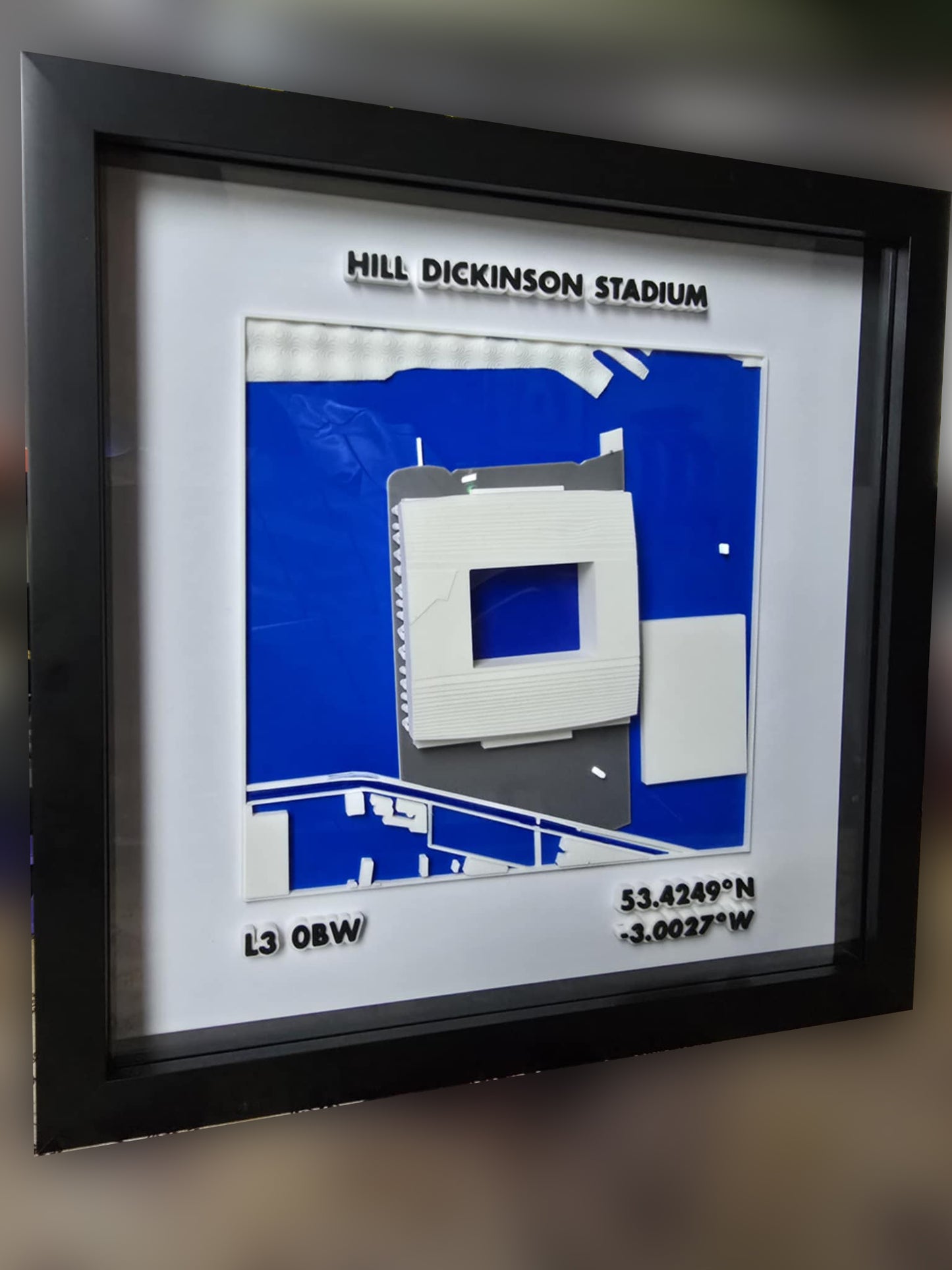 3D Stadium Framed Print