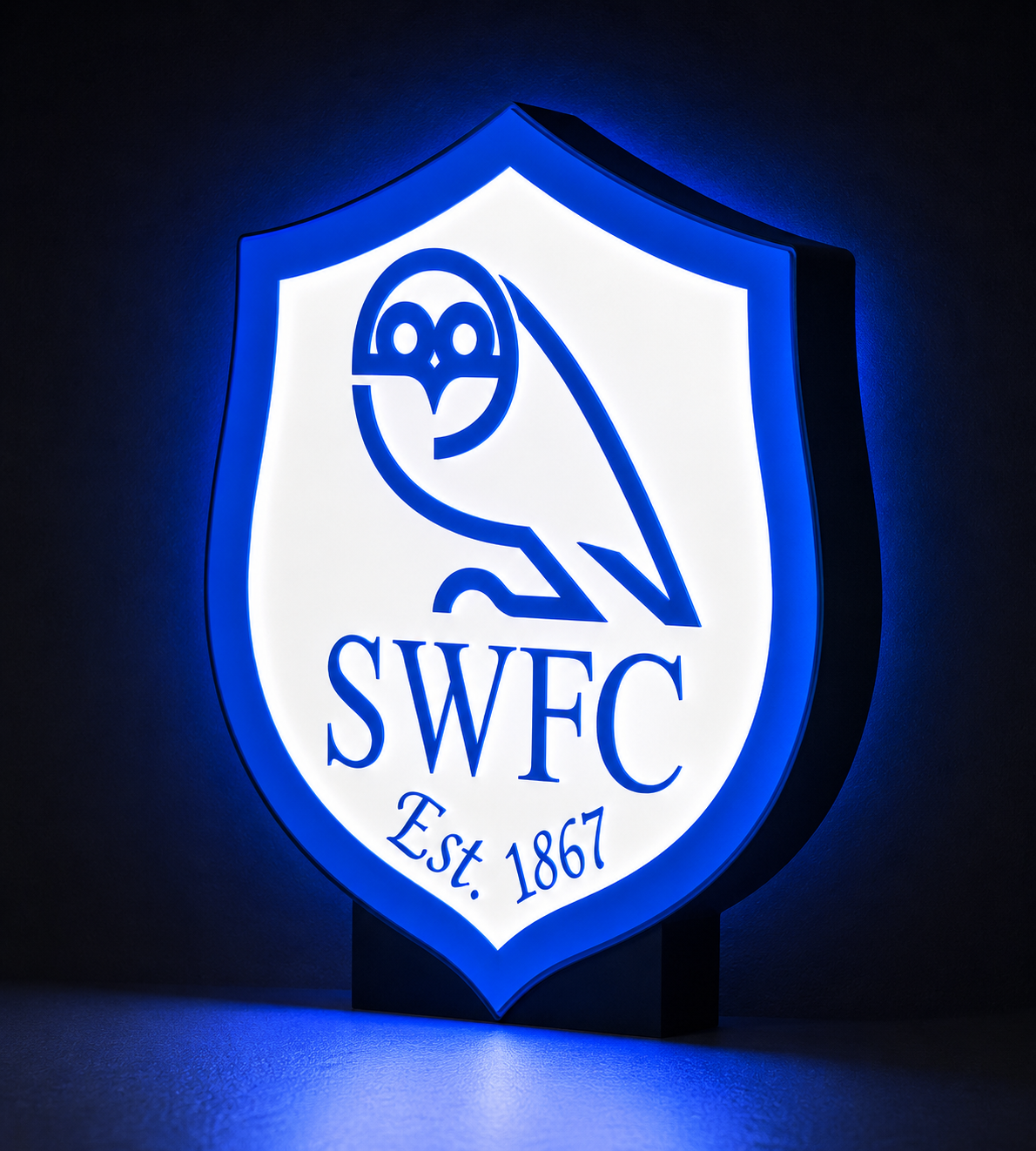Sheffield Wednesday Light